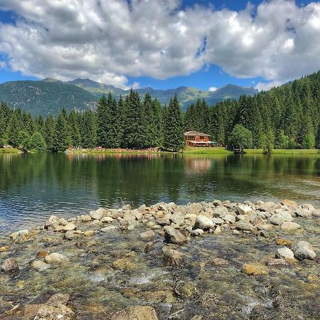 Casa Matteotti Mezzana Trentino 아파트 외부 사진